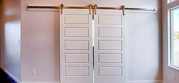 Glass Barn Door with Installation Hardware Kit Arden-Arcade