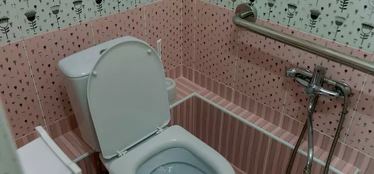 Meeting Diverse Needs With Accessible Restroom Solutions in Arden-Arcade, CA